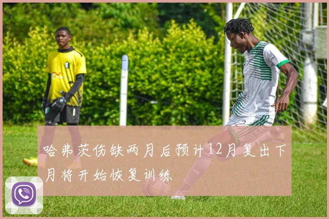 哈弗茨伤缺两月后预计12月复出下月将开始恢复训练