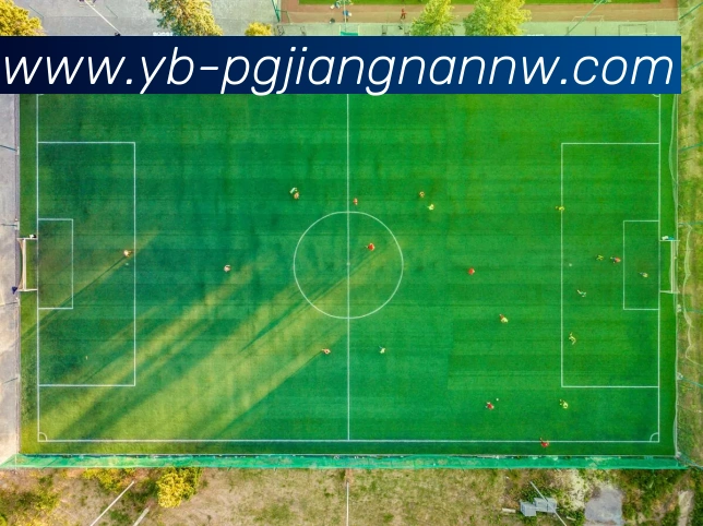 App Interface Preview