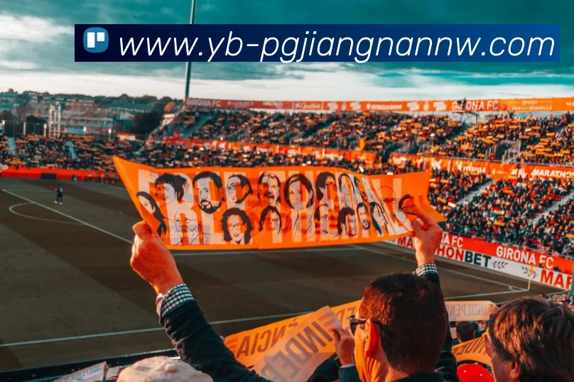 江南体育APP 封面图